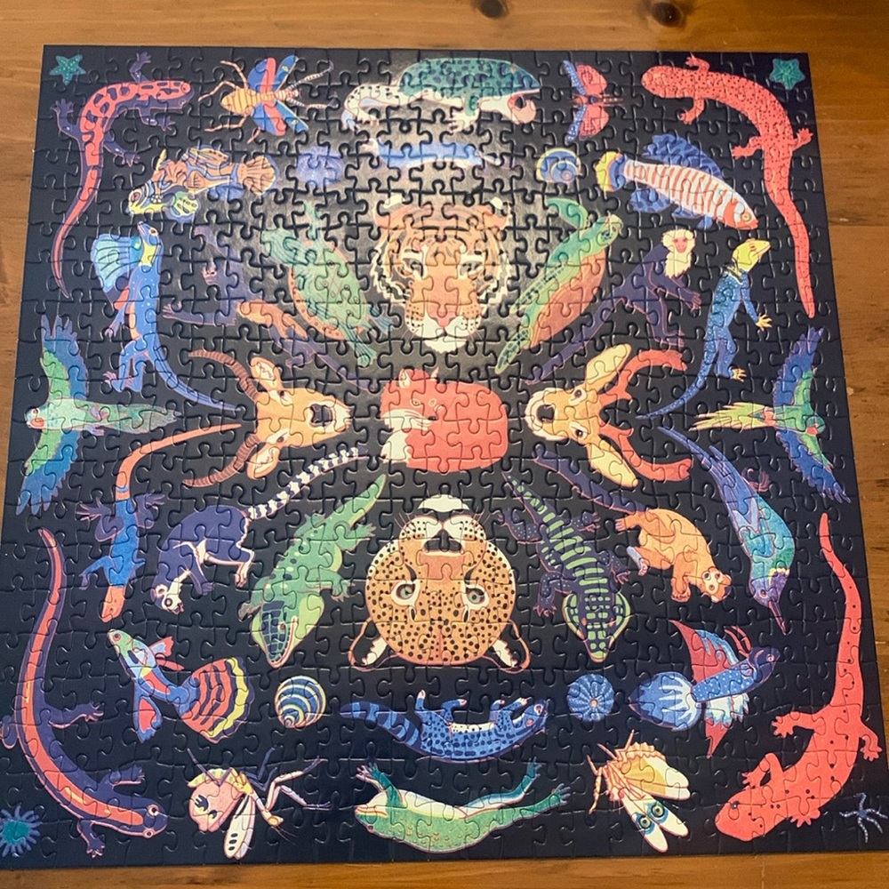 500 piece puzzle
